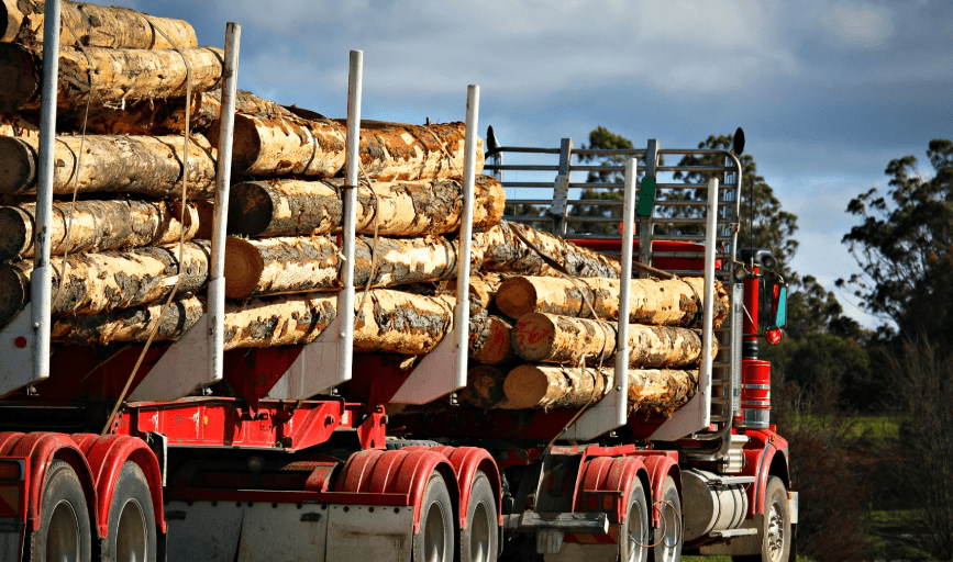 Blake & Son Timber Harvesting