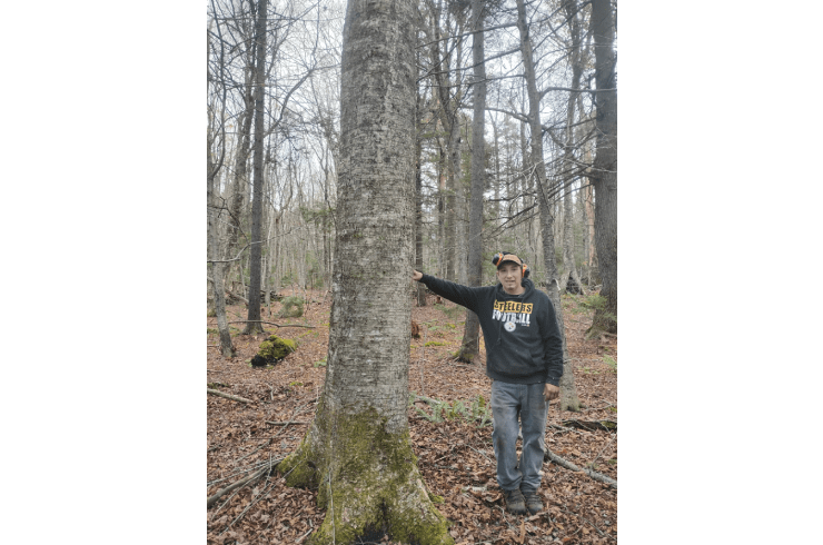 Blake & Son Timber Harvesting